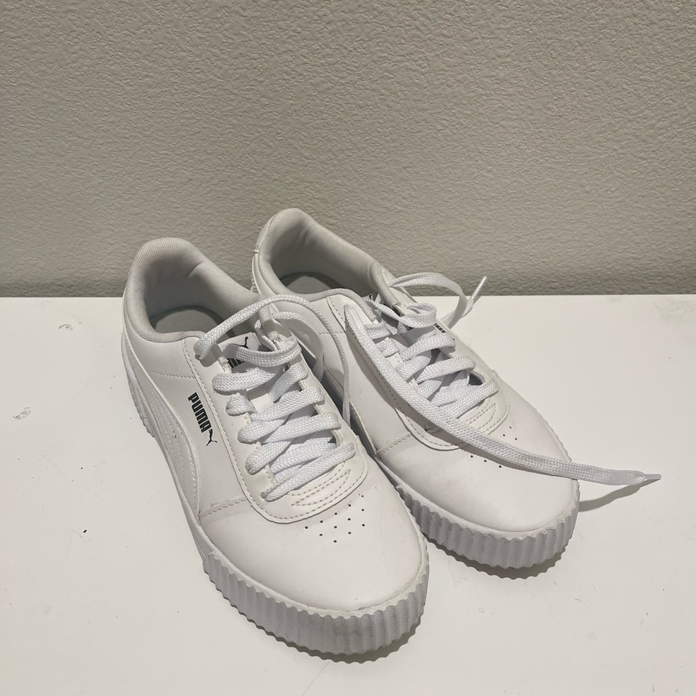 White pumas
